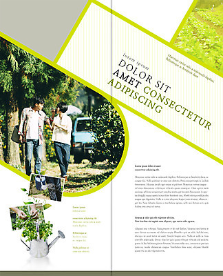 전신 PSD 나무 식물 템플릿 편집 표지디자인 북디자인 웰빙 부부 출판디자인 여자 남자 내지 리플렛 2단접지 북커버 서기 팜플렛 여러명 성인 30대 마주보기 농사 물뿌리개 한국인 트럭 물주기 귀농 이미지템플릿 커플 다수 농업 모션 자동차 사람 동양인 장년 파일형식