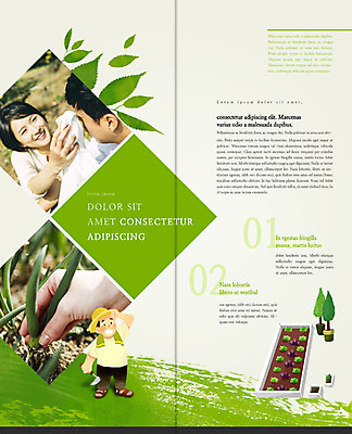 PSD 나무 템플릿 편집 표지디자인 북디자인 손 웰빙 부부 출판디자인 여자 남자 내지 리플렛 2단접지 북커버 웃음 팜플렛 성인 세명 30대 수건 농사 한국인 밀짚모자 땀 귀농 파 모종 호미 이미지템플릿 식물 모자_잡화 커플 농업 채소 표정 사람 동양인 신체부위 장년 위생용품 농기구 파일형식