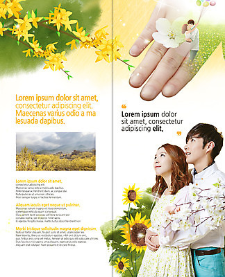 PSD 템플릿 편집 표지디자인 북디자인 손 커플 응시 출판디자인 여자 남자 내지 리플렛 2단접지 북커버 포옹 해바라기 산 팜플렛 여러명 상반신 20대 성인 옆모습 한국인 벚꽃 개나리 풍선 이미지템플릿 시선 꽃 뷰포인트 다수 관계 안기 사람 동양인 청년 신체부위 파일형식