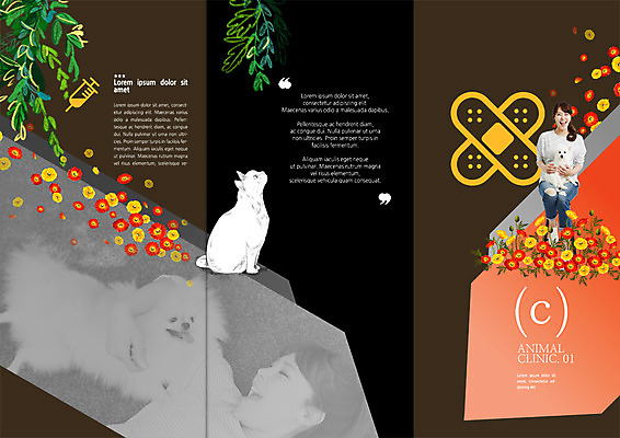 PSD 템플릿 편집 표지디자인 북디자인 출판디자인 여자 표지 꽃 리플렛 북커버 3단접지 웃음 앉기 팜플렛 20대 성인 두명 반려동물 눕기 고양이 한국인 반창고 개 반려 이미지템플릿 식물 동물 포유류 모션 표정 사람 동양인 청년 의료용품 파일형식