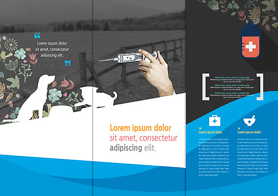 PSD 템플릿 편집 표지디자인 북디자인 손 출판디자인 꽃 내지 리플렛 북커버 3단접지 의학 주사기 팜플렛 울타리 강 개 구급상자 약병 막자사발 동물병원 반려 이미지템플릿 식물 포유류 의료기기 병원 신체부위 담장 약 의료용품 사발 병_담는 파일형식