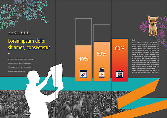 PSD 템플릿 편집 표지디자인 북디자인 출판디자인 실루엣 내지 리플렛 북커버 3단접지 의학 그래프 팜플렛 상반신 옆모습 알약 풀 퍼센트 약병 치와와 동물병원 반려 이미지템플릿 식물 뷰포인트 촬영기법 병원 약 특수기호 개 병_담는 파일형식