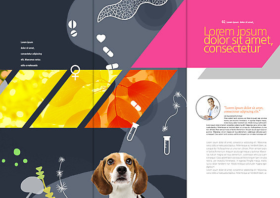 PSD 서양인 템플릿 편집 표지디자인 북디자인 출판디자인 남자 내지 리플렛 40대 북커버 3단접지 의학 한명 팜플렛 상반신 성인 알약 올려보기 비글 동물병원 수의사 반려 성별기호 이미지템플릿 외국인 1 기호 중년 모션 병원 사람 약 의사 개 성별 파일형식