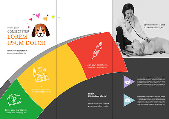 전신 PSD 템플릿 편집 표지디자인 북디자인 출판디자인 여자 내지 리플렛 북커버 3단접지 의학 청진기 주사기 한명 앉기 팜플렛 성인 30대 노트북 진료 한국인 하트 개 구급상자 막자사발 동물병원 수의사 반려 이미지템플릿 모양 1 포유류 의료기기 모션 병원 사람 동양인 장년 전자제품 의사 의료용품 사발 파일형식