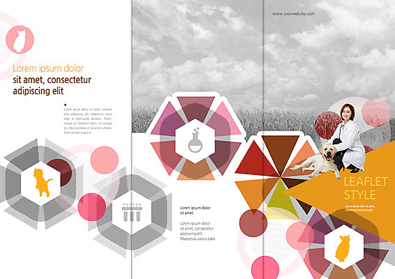 전신 PSD 구름 템플릿 편집 표지디자인 북디자인 출판디자인 여자 표지 리플렛 북커버 3단접지 의학 하늘 한명 앉기 팜플렛 성인 30대 한국인 의사가운 개 플라스크 시험관 동물병원 수의사 반려 이미지템플릿 자연요소 1 포유류 모션 병원 실험기구 사람 동양인 장년 의사 가운 파일형식
