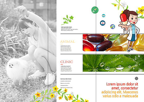 전신 PSD 템플릿 편집 표지디자인 북디자인 출판디자인 여자 꽃 내지 리플렛 북커버 3단접지 의학 나뭇잎 주사기 서기 앉기 팜플렛 20대 성인 두명 알약 한국인 물방울 개 구급상자 동물병원 수의사 반려 이미지템플릿 식물 잎 포유류 의료기기 모션 병원 사람 동양인 청년 약 의사 의료용품 파일형식