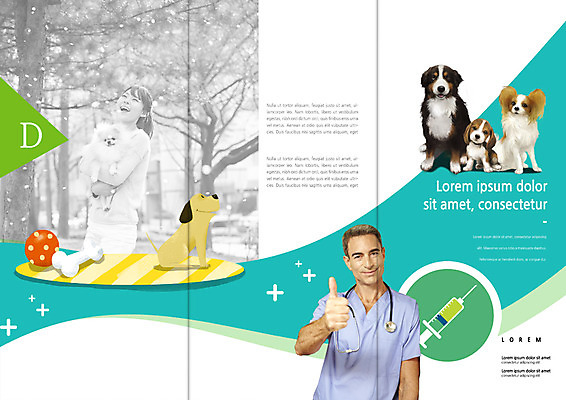 PSD 서양인 템플릿 편집 표지디자인 북디자인 출판디자인 여자 남자 내지 리플렛 40대 북커버 여러마리 3단접지 공 청진기 주사기 웃음 손짓 팜플렛 상반신 20대 성인 두명 한국인 최고 수술복 수의사 개뼈다귀 반려 이미지템플릿 외국인 중년 다수 의료기기 모션 표정 사람 동양인 청년 의사 가운 애견간식 파일형식