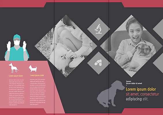 PSD 템플릿 편집 표지디자인 북디자인 출판디자인 여자 남자 내지 리플렛 북커버 3단접지 의학 현미경 마스크 앉기 팜플렛 상반신 20대 성인 세명 알약 한국인 수술복 수술장갑 불독 동물병원 수의사 반려 이미지템플릿 장갑 모션 병원 실험기구 사람 동양인 청년 약 의사 가운 개 파일형식