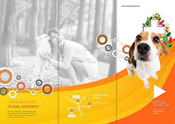 전신 PSD 나무 템플릿 편집 표지디자인 북디자인 출판디자인 여자 표지 리플렛 북커버 3단접지 한명 웃음 앉기 팜플렛 20대 성인 한국인 숲 비글 약도 반려 이미지템플릿 식물 1 지도 모션 표정 사람 동양인 청년 개 파일형식