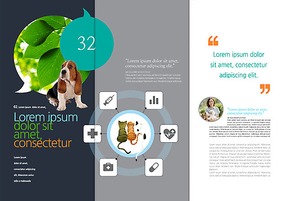 PSD 템플릿 편집 표지디자인 북디자인 출판디자인 여자 내지 리플렛 십자가 말풍선 북커버 3단접지 의학 그래프 나뭇잎 주사기 한명 팜플렛 상반신 성인 반려동물 알약 고양이 한국인 하트 개 맥박 구급상자 바셋하운드 동물병원 반려 이미지템플릿 모양 동물 1 잎 포유류 의료기기 병원 사람 동양인 약 의료용품 하운드 파일형식