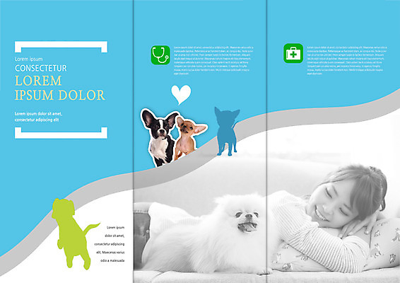 PSD 템플릿 편집 표지디자인 북디자인 출판디자인 여자 내지 엎드리기 리플렛 북커버 3단접지 청진기 한명 웃음 팜플렛 상반신 20대 성인 옆모습 눕기 한국인 하트 구급상자 치와와 반려 포메라니안 이미지템플릿 모양 1 뷰포인트 의료기기 모션 표정 사람 동양인 청년 의료용품 개 파일형식