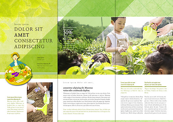 PSD 템플릿 편집 표지디자인 북디자인 웰빙 출판디자인 여자 남자 내지 어린이 리플렛 밭 채소 북커버 과일 3단접지 소녀 소년 팜플렛 여러명 성인 농사 흙 물뿌리개 한국인 수확 귀농 이미지템플릿 다수 농업 사람 동양인 파일형식