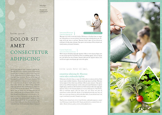 PSD 템플릿 편집 표지디자인 북디자인 손 웰빙 출판디자인 여자 남자 내지 어린이 리플렛 40대 북커버 3단접지 소녀 소년 팜플렛 여러명 상반신 성인 노트북 농사 물뿌리개 한국인 귀농 적환무 이미지템플릿 중년 다수 농업 사람 동양인 신체부위 전자제품 무 파일형식