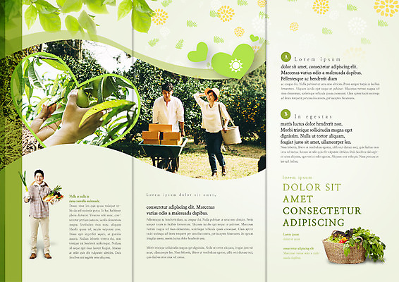 전신 PSD 템플릿 편집 표지디자인 북디자인 손 웰빙 출판디자인 여자 열매 남자 내지 리플렛 40대 채소 북커버 3단접지 서기 팜플렛 여러명 성인 30대 바구니 농사 수레 한국인 수확 귀농 이미지템플릿 식물 중년 다수 농업 모션 사람 동양인 신체부위 장년 카트 파일형식