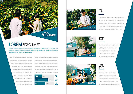 템플릿 편집 표지디자인 북디자인 부부 출판디자인 여자 남자 내지 리플렛 북커버 그래프 귤 앉기 팜플렛 여러명 상반신 성인 뒷모습 30대 농사 수레 한국인 트럭 수확 귀농 귤나무 이미지템플릿 AI파일 나무 커플 뷰포인트 다수 농업 과일 모션 자동차 사람 동양인 장년 카트 파일형식 벡터