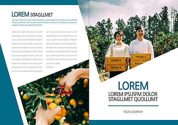 템플릿 편집 표지디자인 북디자인 손 부부 출판디자인 여자 표지 남자 리플렛 북커버 귤 웃음 팜플렛 상반신 성인 두명 30대 상자 농사 한국인 수확 귀농 귤나무 이미지템플릿 AI파일 나무 커플 농업 과일 표정 사람 동양인 신체부위 장년 파일형식 벡터