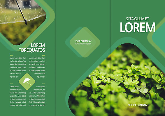 템플릿 편집 표지디자인 북디자인 출판디자인 표지 리플렛 잎 북커버 우산 3단접지 날씨 팜플렛 사람없음 초록색 비 이미지템플릿 AI파일 자연요소 식물 컬러 파일형식 벡터