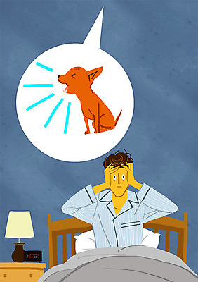 PSD 남자 일러스트 성인 반려동물 잠옷 자명종 침대 스탠드 강아지 소음 층간소음 국내일러스트 동물 옷 시계 가구 조명 사람 소리 알람 개 파일형식