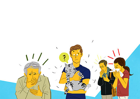 PSD 여자 노년 남자 일러스트 여러명 성인 반려동물 고양이 물음표 알레르기 반려 국내일러스트 동물 기호 다수 포유류 사람 질병 파일형식