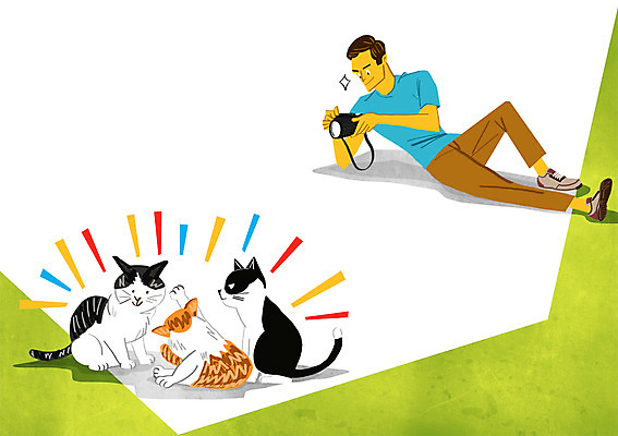 PSD 남자 일러스트 한명 성인 반려동물 카메라 사진촬영 고양이 국내일러스트 동물 1 포유류 사람 전자제품 촬영 파일형식