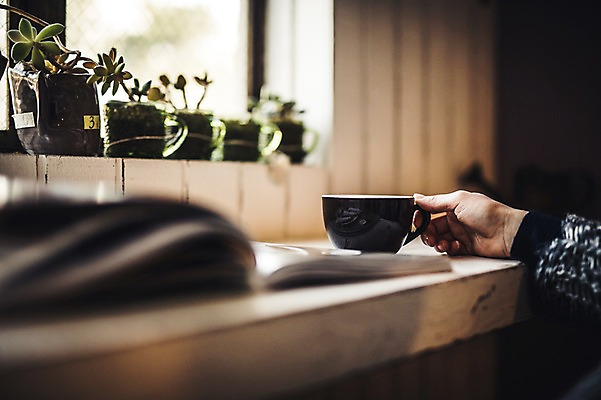 포토 JPG 손 화분 커피 실내 신체부위 카페 커피잔 국내포토 음료 잔 사람 내부 상점 파일형식