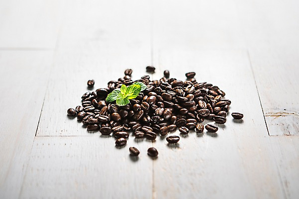 포토 JPG 커피 사람없음 원두 국내포토 음료 파일형식