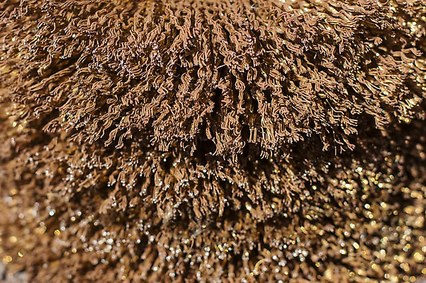 포토 JPG 선 백그라운드 사람없음 쌓기 금속 여러개 엉킴 부식 국내포토 다수 모션 재질 파일형식