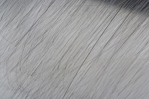 포토 JPG 백그라운드 사람없음 금속 은색 스크래치 국내포토 컬러 재질 파일형식