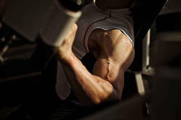 포토 JPG 남자 실내 한명 상반신 성인 옆모습 30대 헬스 헬스장 한국인 팔운동 근육질 팔근육 국내포토 1 뷰포인트 근육 사람 동양인 내부 장년 운동 몸매 파일형식