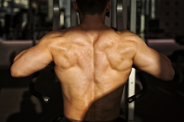 포토 JPG 남자 실내 한명 성인 뒷모습 30대 운동기구 헬스 헬스장 한국인 근육질 등근육 성인남자한명만 국내포토 1 뷰포인트 근육 사람 동양인 내부 장년 운동 몸매 남자한명만 성인남자만 파일형식