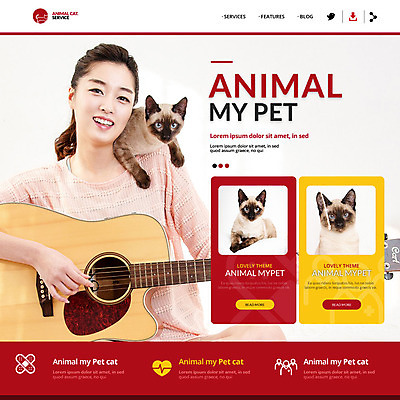 PSD 템플릿 여자 웹템플릿 연주 이벤트페이지 한명 이벤트 성인 반려동물 고양이 한국인 기타 반려 이미지템플릿 동물 1 음악 포유류 현악기 사람 동양인 페이지 파일형식