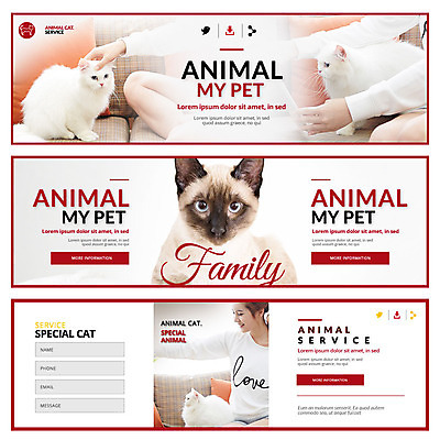 PSD 템플릿 배너 여자 웹템플릿 한명 성인 반려동물 고양이 한국인 반려 이벤트배너 웹배너 이미지템플릿 동물 1 포유류 사람 동양인 파일형식