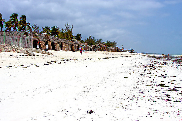 포토 JPG 해외이미지 나무 식물 구름 모래 파도 바다 섬 여행 곡선 아프리카 자연 하늘 추상 휴가 휴식 주택 사람없음 물 여름 거품 젖음 자유 바위 흰색 보트 해조류 썰물 인도양 석호 지질학 탄자니아 해외202004 해외포토 자연요소 계절 교육 나라 선 컬러 컨셉 무늬 배_교통 건물 돌_바위 해양식물 생태계 파일형식 이미지허브