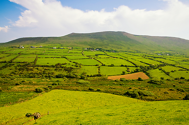포토 JPG 해외이미지 구름 공원 밭 자연 하늘 산 풍경 사람없음 초록색 여름 파란색 환경 흰색 시골 해외202004 해외포토 자연요소 계절 공공시설 컬러 농업 생태계 파일형식 이미지허브