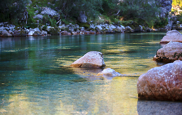 포토 JPG 해외이미지 나무 자연 산 사람없음 초록색 물 강 계곡 황무지 숲 언덕 슬로베니아 해외202004 해외포토 자연요소 식물 유럽 컬러 생태계 파일형식 이미지허브