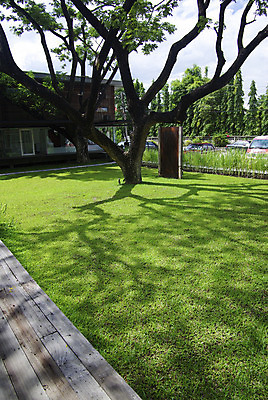 포토 JPG 해외이미지 나무 식물 라이프스타일 디자인 공원 꽃 잎 밭 자연 하늘 새로움 주택 풍경 잔디 사람없음 야외 초록색 여름 파란색 울타리 정원 봄 가을 흰색 신선 재산 구매 땅 맨션 만족 원예 조경 쇼 내추럴 교외 정중 해외202004 해외포토 계절 공공시설 감정 컬러 컨셉 농업 취미 건물 생활 금융 담장 쇼핑 생태계 파일형식 이미지허브