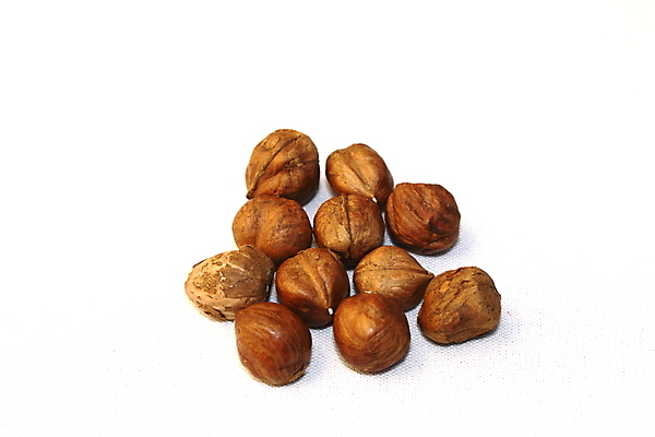 포토 JPG 해외이미지 열매 음식 조각 다이어트 과일 재료 디저트 건강 씨앗 사람없음 갈색 견과류 신선 달콤 맛 먹기 유기농 아로마 땅콩 호두 아몬드 칼로리 개암나무 고립 개암 해외202004 해외포토 나무 식물 웰빙 컬러 컨셉 모션 파일형식 이미지허브