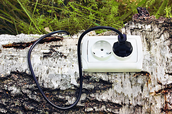 포토 JPG 해외이미지 나무 백그라운드 컨셉 자연 아이디어 집게 사람없음 야외 초록색 환경 힘 재활용 에너지 절약 콘센트 플러그 보호 에코 생태계 스위치 자작나무 유지 바이오 발명 생태학 효율 해외202004 해외포토 식물 교육 컬러 친환경 파일형식 이미지허브