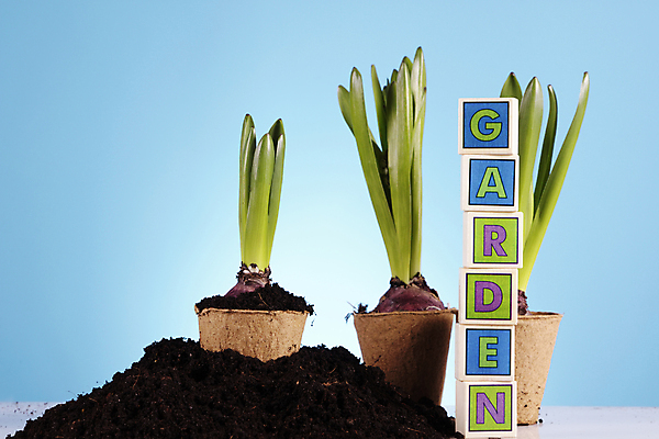 포토 JPG 해외이미지 식물 장갑 컨셉 부츠 통 씨앗 사람없음 정원 검은색 공구 캔 보호 냄비 시작 원예 호스 갈퀴 돌봄 생태학 심기 해외202004 해외포토 잡화 교육 컬러 신발 모션 취미 도구 솥 파일형식 이미지허브