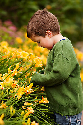 포토 JPG 해외이미지 백인 남자 꽃 어린이 한명 서기 소년 노란색 냄새 해외202004 해외포토 서양인 식물 1 컬러 모션 사람 파일형식 이미지허브