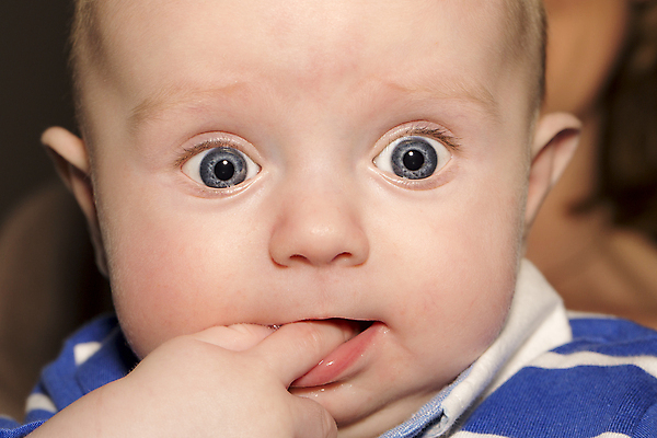 포토 JPG 해외이미지 백인 1 응시 남자 행복 얼굴 어린이 주택 건강 한명 웃음 사람 소년 기쁨 흰색 침대 표현 아기 신생아 달콤 작음 부드러움 월 거짓말 걸음마 결백 돌봄 천진난만 해외202004 해외포토 서양인 시선 감정 컬러 가구 컨셉 모션 표정 건물 신체부위 감각 날짜 맛 크기 파일형식 이미지허브