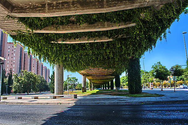 포토 JPG 해외이미지 나무 오렌지 건축양식 창문 하늘 벽돌 사람없음 야외 건물 도시풍경 회색 도시 덩굴 아이비 해외202004 해외포토 식물 건축물 건축 컬러 과일 풍경 파일형식 이미지허브