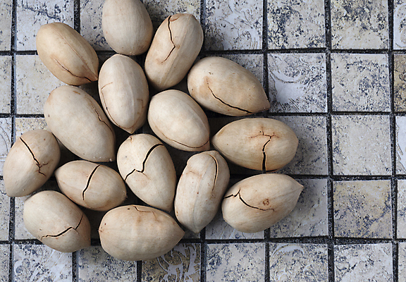 포토 JPG 해외이미지 음식 백그라운드 농업 다이어트 재료 디저트 건조 건강 사람없음 갈색 견과류 튀김 맛 오브젝트 유기농 알맹이 내추럴 채식주의자 피칸 해외202004 해외포토 웰빙 산업 컬러 컨셉 채식 파일형식 이미지허브