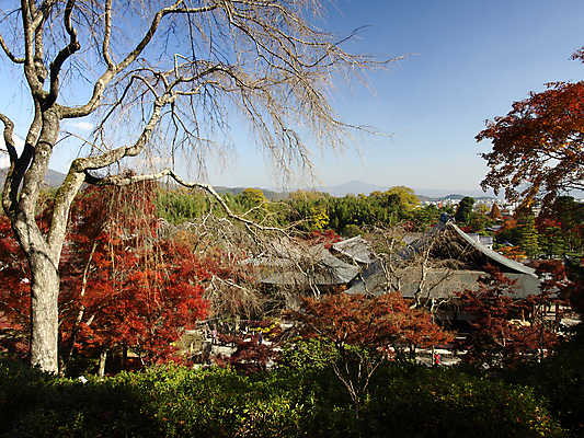 포토 JPG 해외이미지 나무 전통 계절 공원 아시아 선 여행 단풍 잎 오렌지 자연 휴식 동양인 풍경 사람없음 야외 목재 빨간색 컬러풀 햇빛 평화 일본 가을 재산 장면 진홍색 동쪽 내추럴 교토 해외202004 해외포토 식물 공공시설 나라 컬러 컨셉 과일 재료 인종 금융 태양 방향 생태계 파일형식 이미지허브