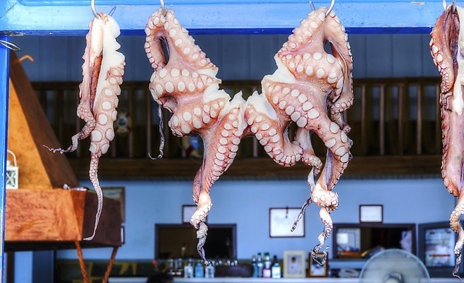 포토 JPG 해외이미지 전통 접시 줄 음식 바다 섬 휴가 건조 매달리기 어류 요리 사람없음 파란색 태양 마을 식당 식사 신선 고리 그릴 바비큐 먹기 해산물 그리스 준비 문어 촉수 줄서기 해외202004 해외포토 자연요소 식기 유럽 컬러 모션 주방용품 연체동물 상점 수중동물 파일형식 이미지허브