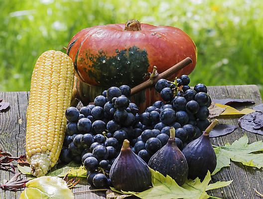 포토 JPG 해외이미지 식물 계절 공원 백그라운드 잎 자연 이끼 사람없음 야외 초록색 컬러풀 갈색 노란색 정원 버섯 수확 가을 신선 그룹 숲 먹기 유기농 내추럴 고립 곰팡이 식용 해외202004 해외포토 웰빙 공공시설 컬러 농업 모션 생태계 파일형식 이미지허브