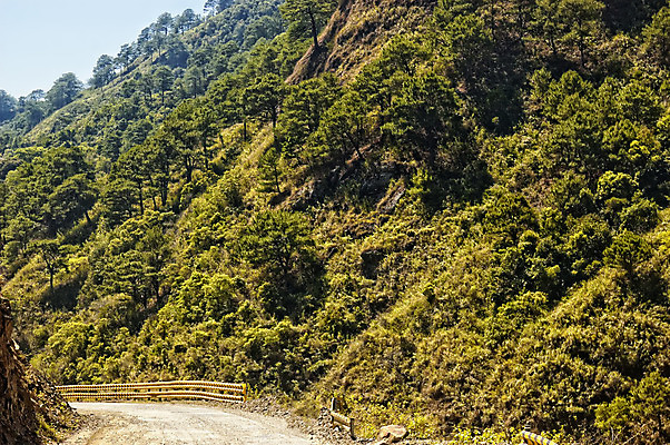 포토 JPG 해외이미지 나무 도로 곡선 하늘 사람없음 야외 가로 관광지 컬러풀 숲 굴곡 길가 흙길 해외202004 해외포토 식물 길 선 컬러 여행 교통시설 흙 파일형식 이미지허브