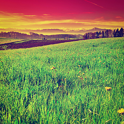 포토 JPG 해외이미지 나무 식물 계절 유럽 여행 잎 밭 농업 자연 하늘 아침 산 풍경 잔디 사람없음 야외 초록색 농작물 태양 농장 일출 일몰 봄 수확 안개 성장 시골 저녁 땅 스위스 언덕 복고 정사각형 알프스 땅바닥 소셜네트워크 필터 세련 해외202004 해외포토 주간 자연요소 도형 나라 산업 컬러 날씨 바닥 노을 야간 생태계 파일형식 이미지허브