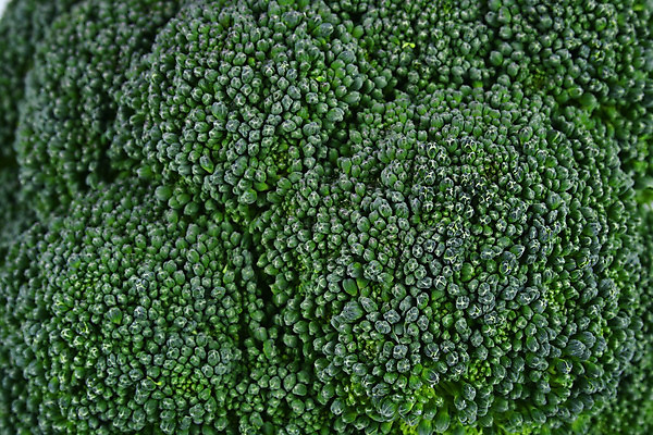 포토 JPG 해외이미지 음식 줄기 잎 다이어트 채소 건강 요리 사람없음 초록색 컬러풀 요식업 저녁식사 흰색 신선 최고 고명 몸무게 브로콜리 날씬함 유기농 날것 칼로리 섬유 성분 내추럴 점심식사 고립 식욕 적자 해외202004 해외포토 식물 웰빙 산업 컬러 식사 직물 몸매 파일형식 이미지허브