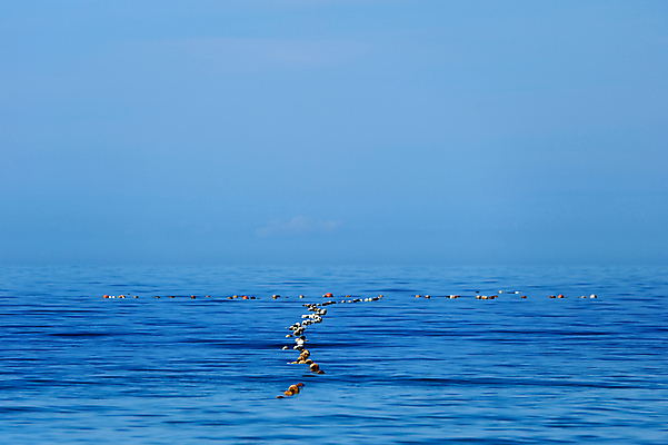 포토 JPG 해외이미지 물결 모래 파도 바다 백그라운드 자연 하늘 표면 풍경 사람없음 야외 물 여름 파란색 빛 강 반사 맑음 수영 스파 흐름 만 투명 액체 서핑 매끈함 시원함 질감 웨이브 석호 깊이 파라다이스 해외202004 해외포토 자연요소 계절 컬러 컨셉 날씨 수상스포츠 감각 생태계 파일형식 이미지허브